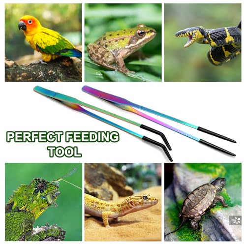 OLIISS Iridescent Reptile Feeding Tongs with Rubber Tips, 10.6", 2 Pack | Straight & Curved, Stainless Steel, Secure Grip, Feeder Tools for Bearded Dragons, Geckos & Lizards, Terrarium Tank Supplies - size: 10.6 Inch