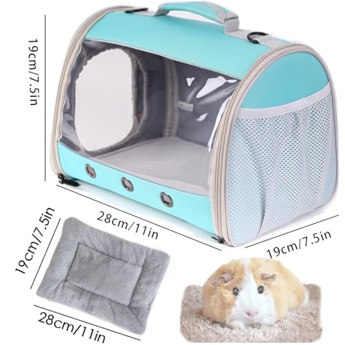 Small Animal Travel Backpack Carrier,Portable Bearded Dragon Bag for Sugar Glider,Hedgehog,Rat,Bunny,Rat,Outdoor Used (Green, Carrier L+ I Leash) - color: Green