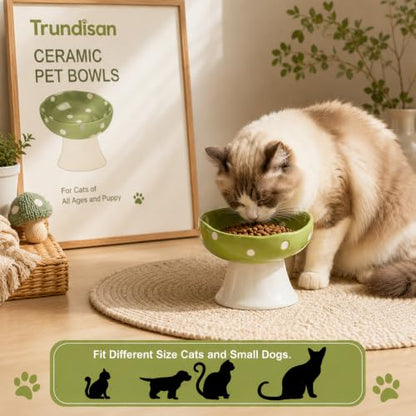 Mushroom Cat Bowl, Elevated Ceramic Cat Bowl, Avocado Green | Cute Mushroom Design • Avocado Green • Elevated Feeding • Whisker Friendly • Smooth Ceramic - color: Avocado Green