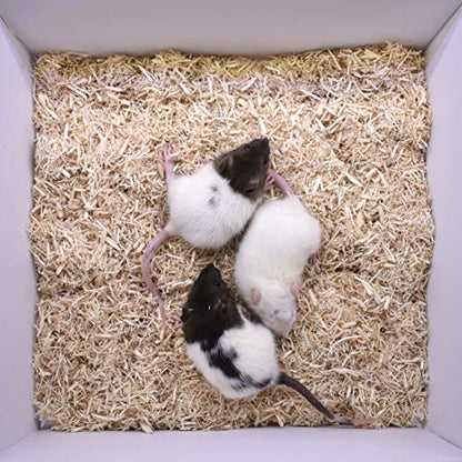 MiceDirect- Rat Weanlings- Fresh Fast Frozen Food Feeders for SubAdult Ball Python Red Tail Boa Monitor Lizard Birds of Prey Pet Reptiles (3.5-4.5 in (Pack of 75)) - size: 1 Count (Pack of 75)