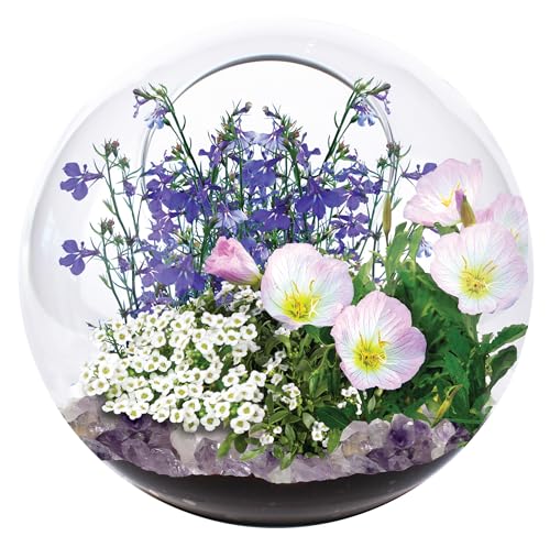 Enchant Your Space with Mini Fairy Triad Glass Terrarium Starter Kit by Unique Gardener! Grow Fragrant Flowers & Attract Fairy Plant, Complete Terrarium Supplies Included for a Mini Indoor Garden! - style: Fairy Triad