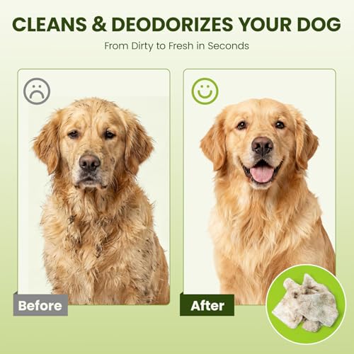 Hypoallergenic Pet Wipes for Dogs, Cats & Small Animals, 400 Coun | Quick Clean & Deodorize Paws, Butt, Eyes, Face & Fur | Daily Grooming Wipes | Extra Large & Thick | Coconut Scented - size: 400 Grooming Wipes