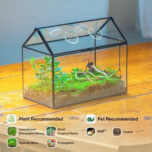 NCYP Glass Terrarium with Lid and Air Holes for Snails - 10.2" x 5.9" x 8.2" House Shape Geometric Clear Terrarium, Indoor Tabletop Decor Black (Plants Not Included)