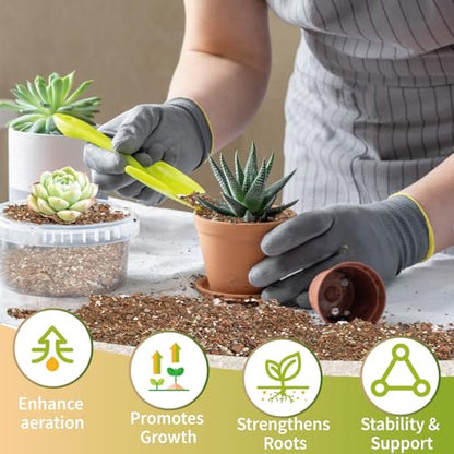 Succulent & Cactus Soil Potting Mix 10qt, Chunky Dirt with Fast Draining Fits for Bonsai, Terrarium and Houseplant - color: Succulent & Cactus Soil, size: 10qt