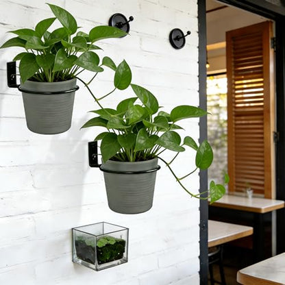 6 Pack 8 Inch Plant Pot Holder Ring,Metal Plant Holder Brackets Rings with 12 Screws & 12 Bolts, Potted Planter Brackets for Wall Indoor Outdoor Garden, Patio - size: 8 Inch