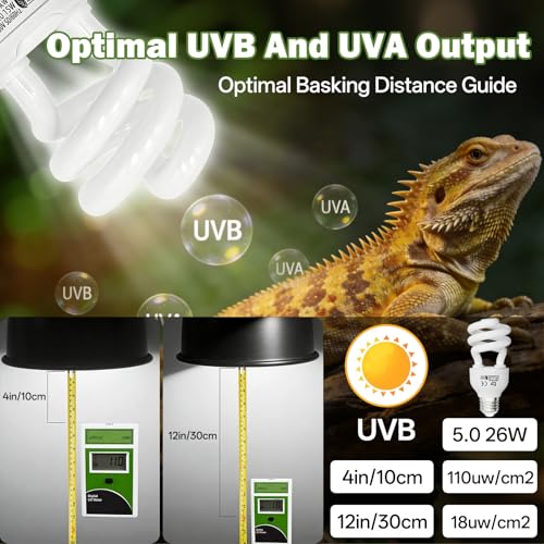 UVB Light for Reptiles 5.0: 15W UVA UVB Reptile Light Bulb 2 Pack, Tropical Reptile UVB Bulb Compact Fluorescent Terrarium Lamp,UVB Light Bulb for Chameleon Turtle Gecko Include UV Sensor Card - size: 5.5INCH-5.0