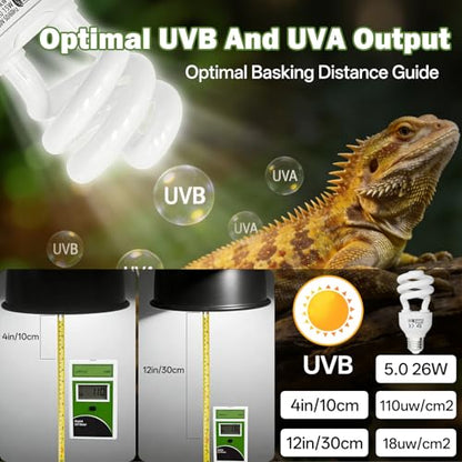 UVB Light for Reptiles 5.0: 15W UVA UVB Reptile Light Bulb 2 Pack, Tropical Reptile UVB Bulb Compact Fluorescent Terrarium Lamp,UVB Light Bulb for Chameleon Turtle Gecko Include UV Sensor Card - size: 5.5INCH-5.0
