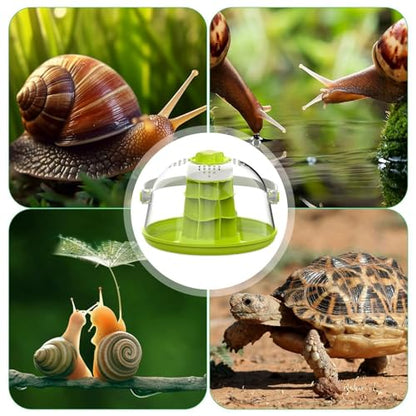 Spider Breeding Box Breathable Portable Mini Pet House Ventilation Holes | Reptile Terrarium for Small Animals Silkworms Snails Turtles