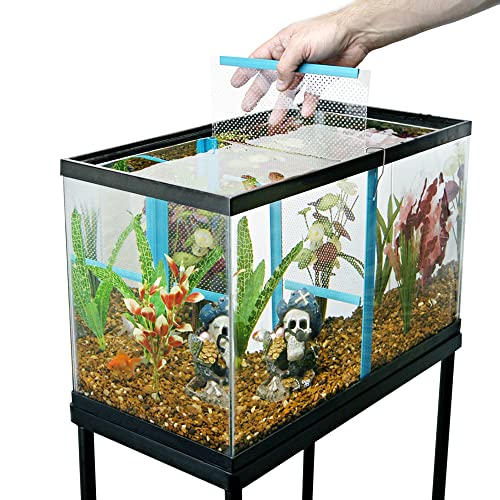 Penn-Plax Large Tank Divider for Aquariums, 11-3/8" x 11-3/8" (TDLBX) - size: Large