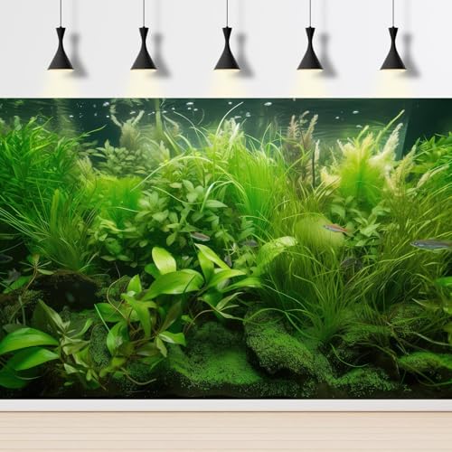 Aquarium Background Diverse Collection of Aquatic Plants Seagrasses Terrarium Background Redwood Root Moss Tropical Style Underwater Lush Green Plants Fish Tank Background Wallpaper Poster 24x12in - color: Green, size: 24(W)x12(H)inches/ 60(W)*30cm(H)