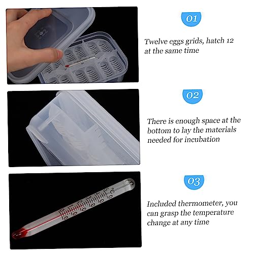 Abaodam 1Pc Reptile Egg Incubator with Compartments Durable Hatching Box for Snakes and Geckos Easy to Clean and Manage Temperature Gauge Included for Scientific Research