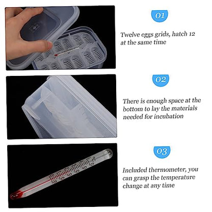 Abaodam 1Pc Reptile Egg Incubator with Compartments Durable Hatching Box for Snakes and Geckos Easy to Clean and Manage Temperature Gauge Included for Scientific Research