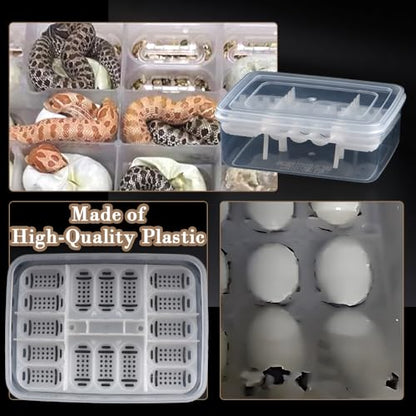 2 Pack Reptile Breeding Box 16 Grids Egg Hatching Incubator for Hatching Egg, Snake, Lizards, Turtle, Lions Mane, Gecko Without Thermometer (White)