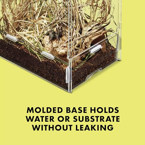Zilla Micro Habitat Terrarium, Arboreal, with Locking Latch, for Isopods, Spiders, Insects, Small - size: Small, style: Arboreal