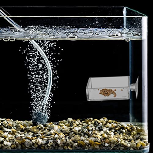 GANAZONO 6pcs Reptiles Food Dishes Feeder Bowls Square Dishes Trays Fish Tank Suction Cups Shrimp Feeder Aquarium Accessories