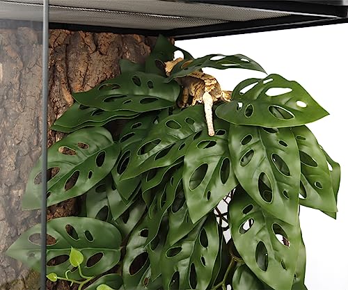 2Pack Fake Monstera Adansonii, Terrarium Plants with Suction Cups | For Arboreal Gecko Lizard Snake Terrarium Habitat - color: B-fake Swiss Cheese Plants Monstera Adansonii