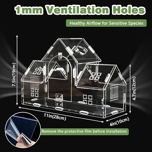 20-Piece Jumping Spider Enclosure Kit, Acrylic Terrarium with 360° View & Magnetic Doors, Complete Accessories Set for Tarantula, Mantis, Small Reptiles, 11.8" L x 4.5" W x 8" H - color: Green