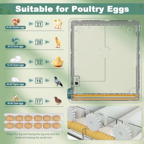 36 Eggs Incubators for Hatching Eggs,Egg Incubator with 4 Automatic Incubate Mode,Chicken Incubator with Automatic Egg Turning Humidity Display,Quail Egg Incubator with Egg Candle - size: 36 Egg