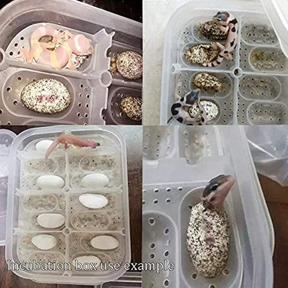 Reptile Egg Incubator Professional Hatcher Hatching Box Case Tray Plastic Breeding Incubator for Hatching Snake,Lizards, Reptiles,Gecko(12 Slots Without Thermometer)