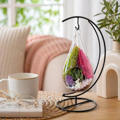 Creations by Nathalie DIY 7" Teardrop Terrarium Kit DIY Terrarium Kit with Live Succulent & Moss, Glass Terrarium Kit for Adults & Teens, Terrarium Moss Kit with Crystals, Handcrafted in the USA - color: Customizable Glass