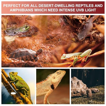 UVB Reptile Light Bulb 15.0, 23W UV Spiral Compact Florescent Terrarium Lamp Ideal for Desert Reptiles & Amphibians Frogs Tortoises Toads Chameleons - 2 Pack - size: UVB15.0