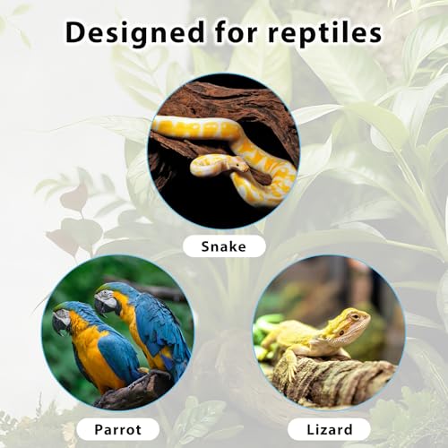 Snake Climbing Chain Rings for Ball Python Hoop & Corn Snake | Adjustable Playground Reptile Tank Accessories for Garter Snakes, Lguana, Lizards, Gecko, Chameleons, Parrot