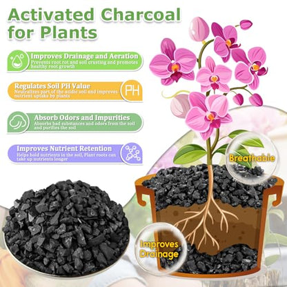 10 LB Organic Leca Clay Pebbles & 2 QT Horticultural Charcoal, Natural Soil Amendment for Drainage, Aeration, and Healthy Indoor Plants, Orchids, Hydroponics & Terrariums