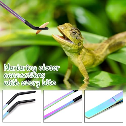 2PCS Stainless Steel Reptile Feeding Tongs with Rubber Tip, 10.6" Straight & Curved Long Tweezers, Perfect for Aquariums & Crafts - Ideal Bearded Dragon & Snake Tank Accessories, Terrarium Supplies