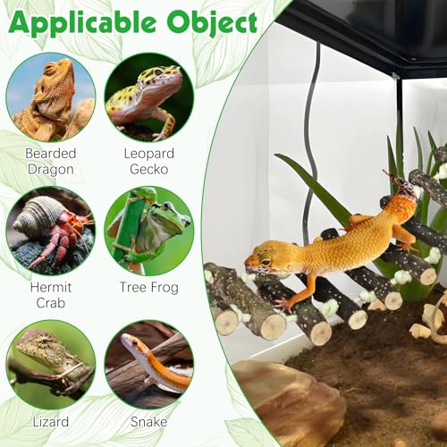 BNOSDM Reptile Climbing Ladder 2 Pcs Gecko Bridge Bearded Dragon Hammock with Suction Cup Wooden Basking Lounger Leopard Gecko Tank Accessories for Lizard, Hermit Crab, Tree Frog, Snake - color: 2pcs-Applewood