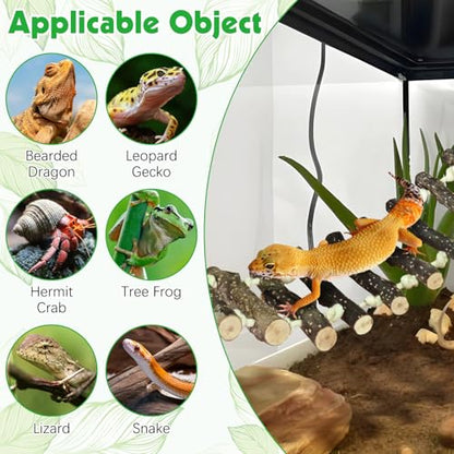 BNOSDM Reptile Climbing Ladder 2 Pcs Gecko Bridge Bearded Dragon Hammock with Suction Cup Wooden Basking Lounger Leopard Gecko Tank Accessories for Lizard, Hermit Crab, Tree Frog, Snake - color: 2pcs-Applewood