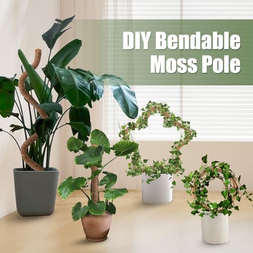 Moss Pole 63 Inch Monstera Plant Sticks Support Tall Long Stakes for Plants | Climbing Indoor Large Bendable Handmade DIY Shape Grow Upwards - color: 1 Pack