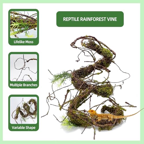 BNOSDM Reptile Vines,Bendable Jungle Climbing Vine,Terrarium Plants Artificial Decor,Tank Decorations Accessories for Bearded Dragons Chameleons Snakes Lizards Hermit Crabs - size: 3Pcs | Style: 47in Jungle Vine