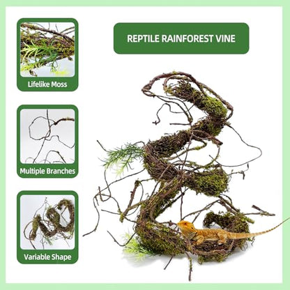 BNOSDM Reptile Vines,Bendable Jungle Climbing Vine,Terrarium Plants Artificial Decor,Tank Decorations Accessories for Bearded Dragons Chameleons Snakes Lizards Hermit Crabs - size: 3Pcs | Style: 47in Jungle Vine