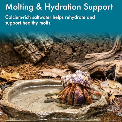 Salty Spa Hermit Crab Salt Water Mix with Calcium & Trace Minerals | Marine salt for hermit crabs creates mineral-rich soaking water with calcium and trace minerals for habitat pools