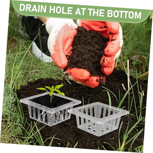 Toyvian 20pcs Transparent Square Hydroponic Mesh Pots for Planting Root Stabilizer Tool for Vegetables Flowers Herbs Material Efficient Drainage System