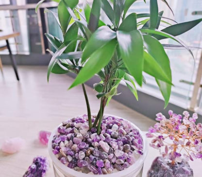 ZHIYUXI Amethyst Crystal Chips Fish Tank Gravel Vase Filler Stones Bulk Crushed Crystals Gemstone Polished Natural Quartz Stone Healing Crystals Glass Stones Fish Rocks - color: C# Amethyst, size: 0.22lbs