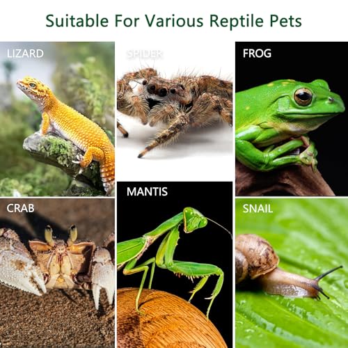 Acrylic Jumping Spider Enclosure, Small Reptile Insect Terrarium, Spider Tank with Magnetic Door & All-Side Vent, Pre-Assembled Habitat for Spiderling, Mantis, Tarantula, Snail 7.8" * 4.7" * 4.7