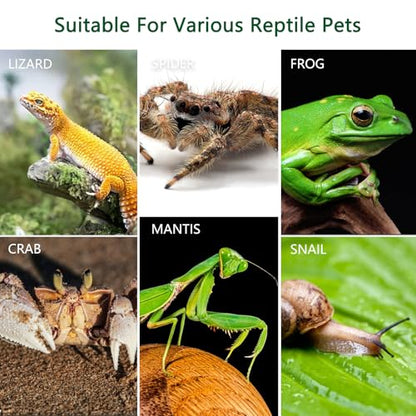 Acrylic Jumping Spider Enclosure, Small Reptile Insect Terrarium, Spider Tank with Magnetic Door & All-Side Vent, Pre-Assembled Habitat for Spiderling, Mantis, Tarantula, Snail 7.8" * 4.7" * 4.7