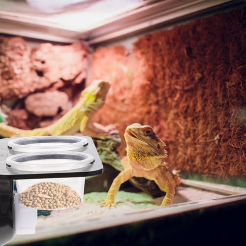 TOYANDONA Reptile Feeder with Suction Cup, Escape-Proof Worm Container and Dual-Compartment Food Bowl, Sturdy Plastic Feeding Dish for Geckos and Lizards, Terrarium Feeding Supplies