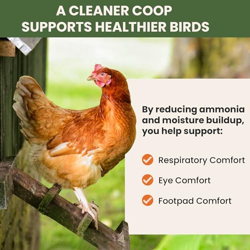 Chicken Coop Refresher - 20 Pounds: All-Natural Odor Eliminator, Moisture Absorber, and Ammonia Neutralizer - Deodorizer,Chicken Coop Accessories for Chickens Run- Remove Smell of Chicken Coops | Ammonia Neutralizer Zeolite Deodorizer Chicken Coop Accesso