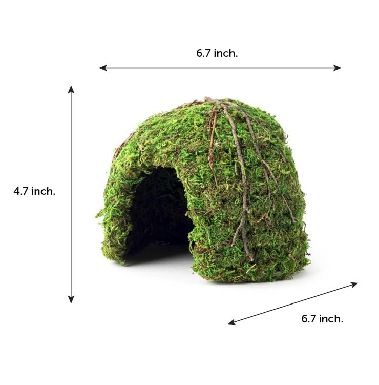 Galapagos (05366 Mossy Dome Hide, 6 in, Galápagos Green