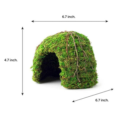 Galapagos (05366 Mossy Dome Hide, 6 in, Galápagos Green