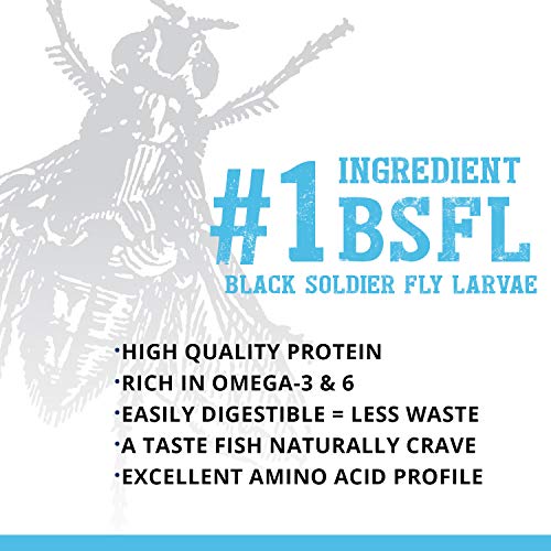 Fluval Bug Bites Tropical Fish Food, Small Granules for Small to Medium Sized Fish, 1.6 oz., A6577 - size: 1.6 Ounce (Pack of 1), style: Small Granules