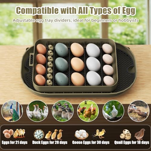 XOTTI Incubator for Hatching Eggs, 24 Egg Incubator with Precise Temperature Control, Auto Egg Turner, 360° Clear View, LED Candler, Alarm for Chicken Duck Quail Goose for Home School Farm Lab