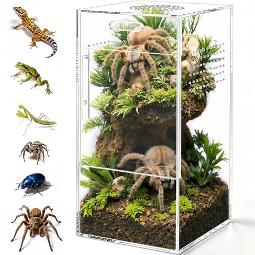 Pre-Assembled Jumping Spider Enclosure, All-Side Ventilation | 5"×5"×10" Escape-Proof Acrylic Habitat Terrarium with Magnetic Door for Jumping Spider, Tarantula, Praying Mantis, Snail - size: Large Vertical (5"×5"×10")