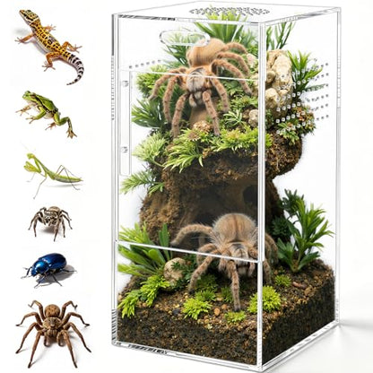 Pre-Assembled Jumping Spider Enclosure, All-Side Ventilation | 5"×5"×10" Escape-Proof Acrylic Habitat Terrarium with Magnetic Door for Jumping Spider, Tarantula, Praying Mantis, Snail - size: Large Vertical (5"×5"×10")