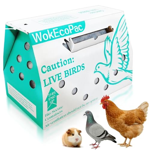 6 Pack Live Bird Shipping Boxes for Poultry Chicken Bird Duck (Green) | Size 17.7" x 7.8" x 11.8"-Poultry Shipping Boxes, Poultry Carrier Crate has Ventilation Openings, Portable Bird Travel Bag - color: Green, size: 6 Pack