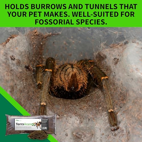 The Bio Dude Terra Aranea Bioactive Substrate for Tarantula, Scorpion, Spider, Isopod Habitat 18 quarts for terrariums, vivariums or Clean up Crew culturing.