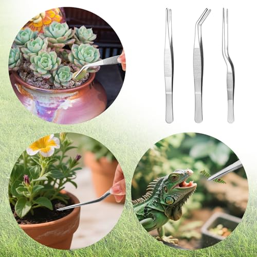 3pcs Plant Tweezers, Long Straight Stainless Steel Garden Bend Tongs Set Multi Purpose Tools for Gardening Bonsai and Reptile Feeding & Kitchen Use - style: A