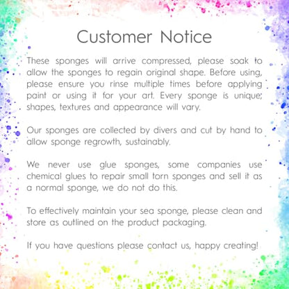 NAROA Artist Natural Sea Sponges for Painting 8 Pack | Unbleached Unique Art Tool Set | Suitable for Acrylic Watercolor, Marbling, Texturing, Pottery, Ceramics